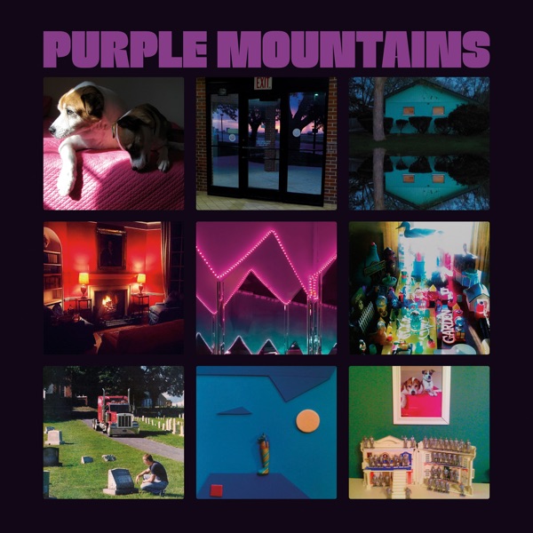 Purple Mountains cover