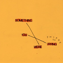 SOMETHING YOU WERE TRYING cover art