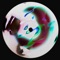 To Fly (feat. KUMBAYA) [Mixed] - Maassai lyrics