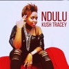 Ndulu - Single