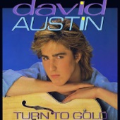 Turn to Gold artwork