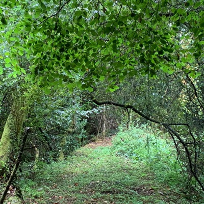 Temporales (feat. Sabrina Tomei & Ras Neftalí) - Single