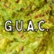 G.U.A.C. (feat. Bandingo YGNE) - Joey Bread lyrics