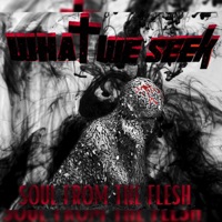 Soul From The Flesh