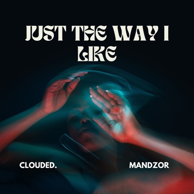 Just the Way I Like - Single