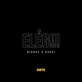 Elég!!! artwork