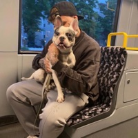 In schnell!!!!!!1!!1!1!!!!!!1!elf - Hornpub.de & LUUWY