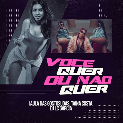Você Quer Ou Não Quer - Single