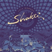 Shrini’s Dream (feat. Shankar Mahadevan, Zakir Hussain & John McLaughlin) artwork