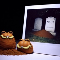 Rest In Peace (feat. NEET) - Single - Fried By Fluoride