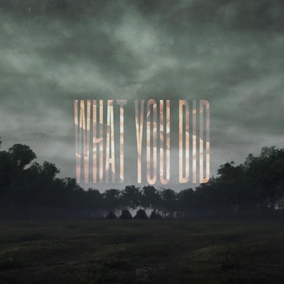 What You DID - Single