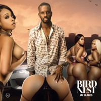 Birdnest - Single - Jay Blakcs
