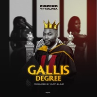 Gallis Degree (feat. Malinga) - Single - ZigZero