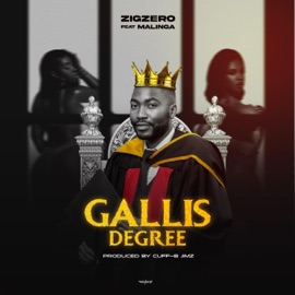 Gallis Degree (feat. Malinga) ZigZero