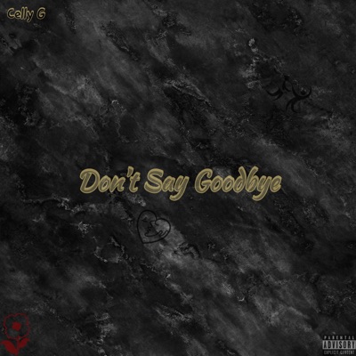 Don't Say Goodbye - Single