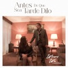 Antes De Que Sea Tarde Dilo (feat. Michelle Daguer) - Single