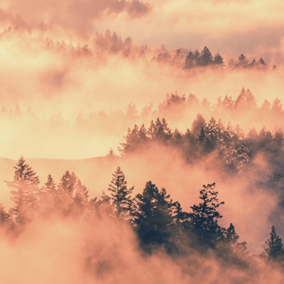 Gloomy Dayz - Single