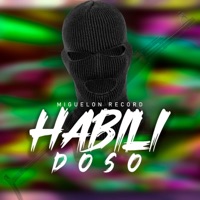 Habilidoso 2 3 0 4 - Single - Miguelon Record