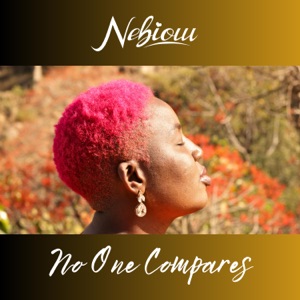No One Compares