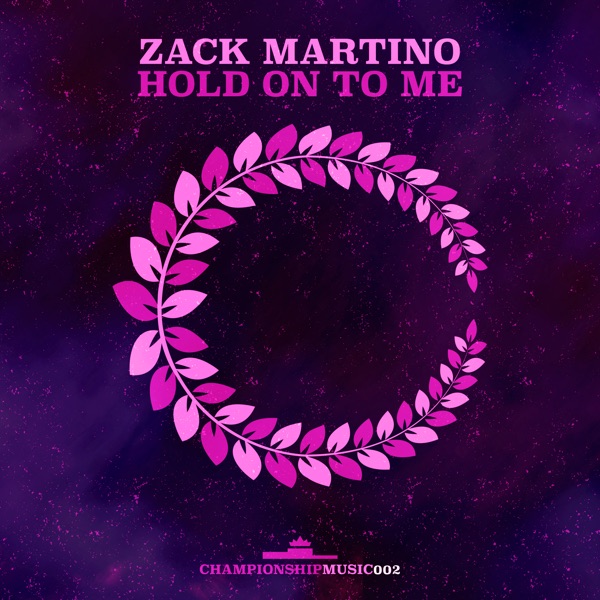 Hold on to Me - Single