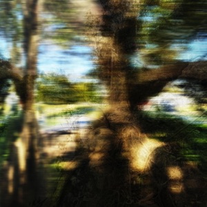 Pulsation - Single