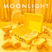 Moonlight: In the moonlit city artwork