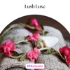 Lush Luxe - EP