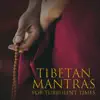 Stream & download Tibetan Mantras for Turbulent Times: Healing Singing Bowls, Meditation & Extreme Soul Cleansing