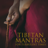 Tibetan Mantras for Turbulent Times: Healing Singing Bowls, Meditation & Extreme Soul Cleansing - Ageless Tibetan Temple, Mantras Guru Maestro & Buddha Meditation Mind