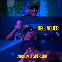 Bellaqueo (feat. Sin Ruido) - Single - Zordom rd