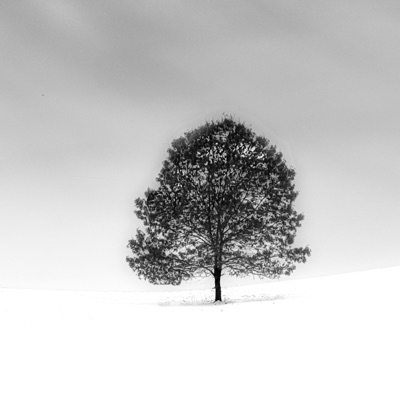 Deeptalk (feat. young sim) - Single