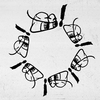 Peanut Gallery - Single