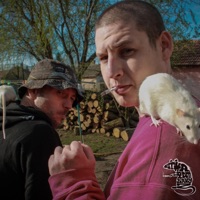 Cincin - Single - Tha Patkányz