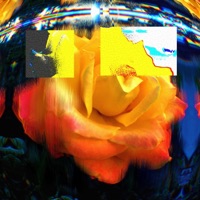 Daedalus (prod. Glitch Gum) - Single - Jedwill