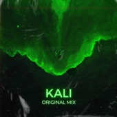 Kali artwork