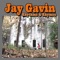 Rhythms and Rhymes - Jay Gavin lyrics