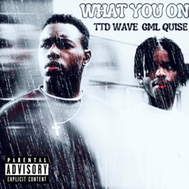 WYO (feat. GML Quise) TTD Wave