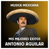 Música Mexicana - Mis Mejores Éxitos artwork