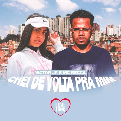 Chei De Volta Pra Mim - Single