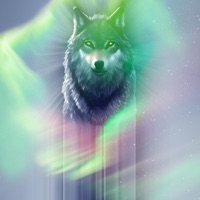 Old Pack (feat. Mavericc & M11SON) - EP - Sakred Wolves