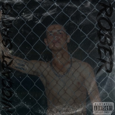 NIGGART SHOTS #6 (feat. Rober) - Single