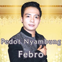 Pedot Nyambung - Single - Febro D'academy, Gerry Mahesa & Masdddho