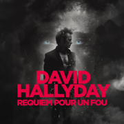 Requiem pour un fou - David Hallyday