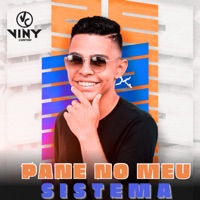 Pane no Meu Sistema - Single - Viny cantor
