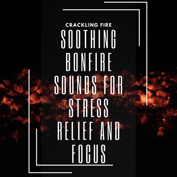 Soothing Bonfire Sounds for Stress Relief and Focus