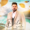 Dila Wale - Single