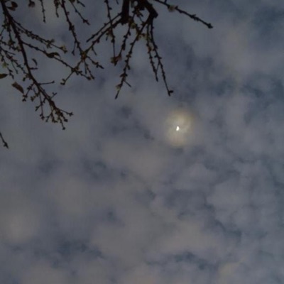 Straktos de un Tema de Amor - Single