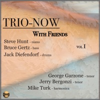 Trio-Now With Friends, Vol. 1 - Steve Hunt, Bruce Gertz & Jack Diefendorf