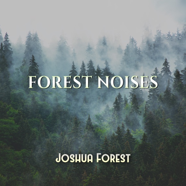 Forest Noises: Miracle Healing, Meditation, Relaxation, Mind and Body Health Therapy