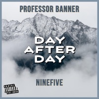 Day After Day (feat. NineFive) - Single - Professor Banner